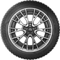 Torero MP30 195/55R16 91T (шипы) Image #3