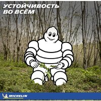 Michelin Pilot Alpin 5 285/40R21 109V Image #11
