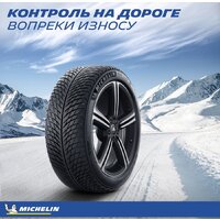 Michelin Pilot Alpin 5 285/40R21 109V Image #7
