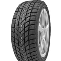 Delinte Winter WD6 225/55R17 97H