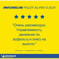 Michelin Pilot Alpin 5 SUV 255/45R21 106V Image #13