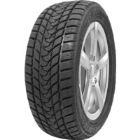 Delinte Winter WD1 165/70R14 81T