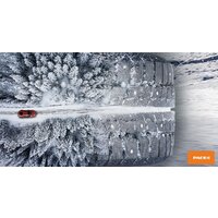 Pace Antarctica Ice 215/55R17 94T (шипы) Image #2
