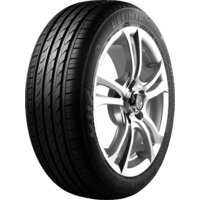 Delinte DH2 205/50R17 93W