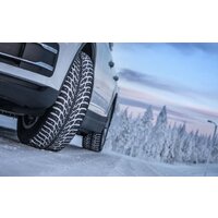 Nokian Tyres Hakkapeliitta 9 SUV 275/50R21 113T (шипы) Image #3