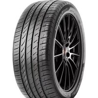 DoubleStar DU01 225/50R17 98W