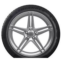 Triangle WinterX TW401 215/60R17 100V Image #4