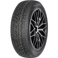 Autogreen Snow Chaser 2 AW08 225/50R17 94H Image #1