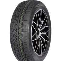 Autogreen Snow Chaser 2 AW08 225/55R16 95H Image #1