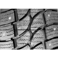 Tigar Cargo Speed Winter TG 215/70R15C 109/107R Image #2