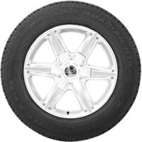 Nexen Roadian HTX RH5 225/70R16 103T Image #2