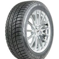 Delinte Winter WD52 225/60R16 102T