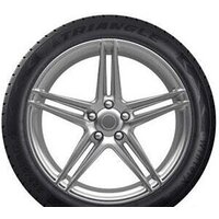Triangle TW401 205/45R17 88V Image #2