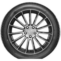 DoubleStar DW02 215/60R17 100T Image #2