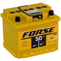 FORSE R+ низк. (50 А/ч) Image #4