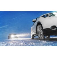 Ikon Nordman 7 SUV 225/60R17 103T (шипы) Image #7