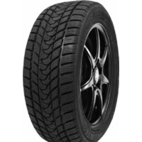 Delinte Winter WD1 205/60R16 96H Image #1