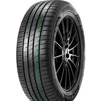 DoubleStar DH08 205/55R16 91V