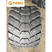 Tianli 500/45R22.5 R-KING 146D TL 