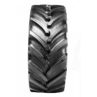BKT 710/60R30 AGRIMAX FORCE 168D R1W CFO TL